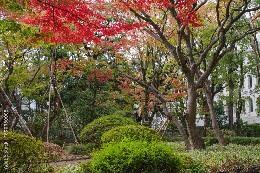 Naklejka premium 東京港区赤坂7丁目にある高橋是清翁公園の秋