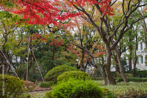東京港区赤坂7丁目にある高橋是清翁公園の秋