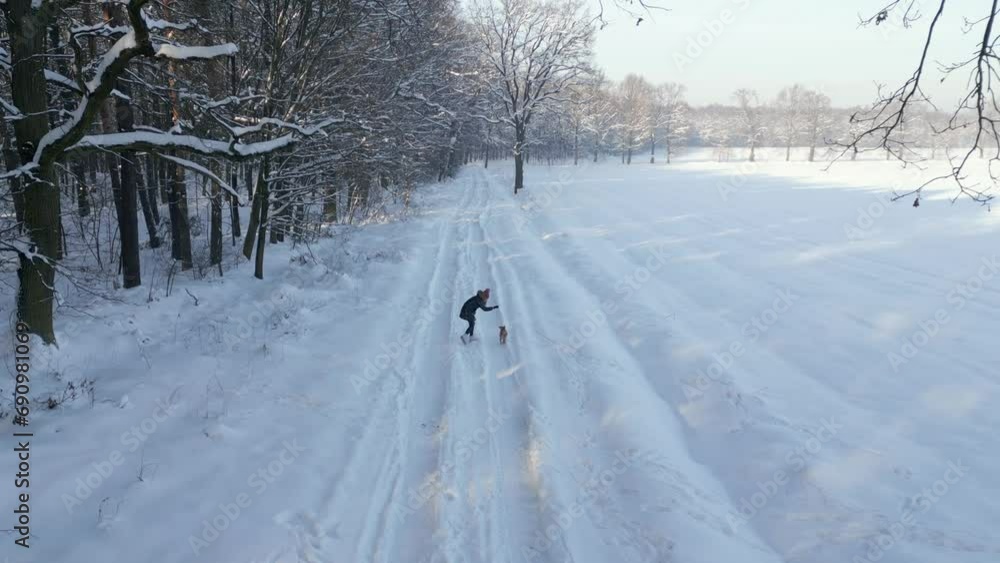 Aerial view of a woman playing with a dog in snowy winter. Aerial view of a woman playing with a dog in snowy winter.