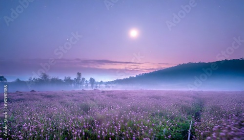 月夜の幻想的な花畑　朝露に濡れた花