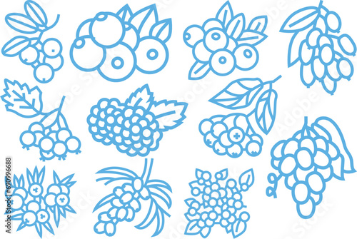 rape Juice Berry Line Icon, Grape fruit icon. bunch of grapes in simple flat style. blue Illustration in various themes. Hand drawn collection. 
