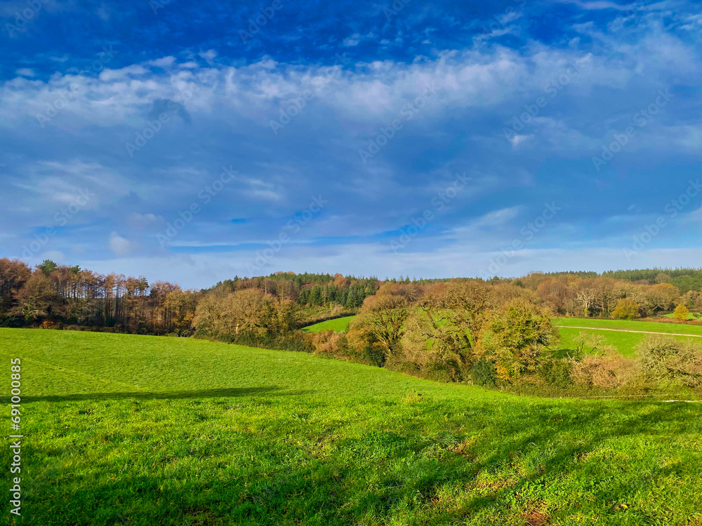 Devon fields near Woodbury Common in Devon