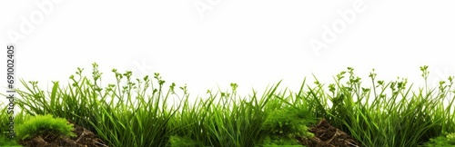 Greenery nature grass meadow landscaping cut out white backgrounds 3d rendering, Generative AI  © Geetanjali