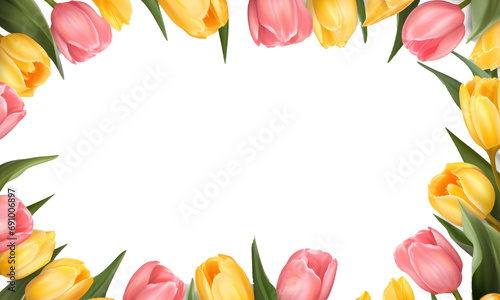 frame of colorful tulips on transparent background photo