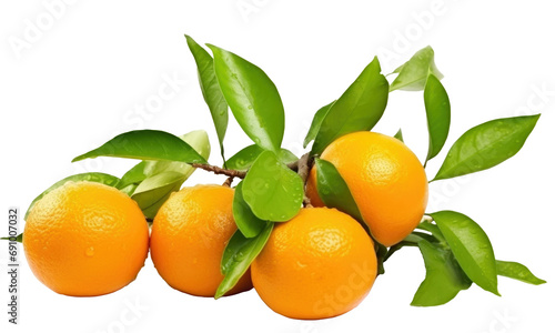 tangerines with leaves isolated on transparent background