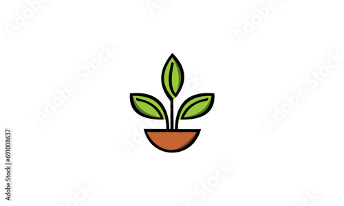 plant in a pot