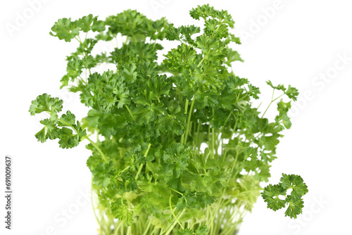 Parsley