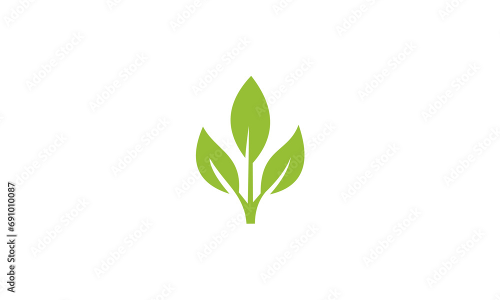 green plant isolated on white green plant isolated on white