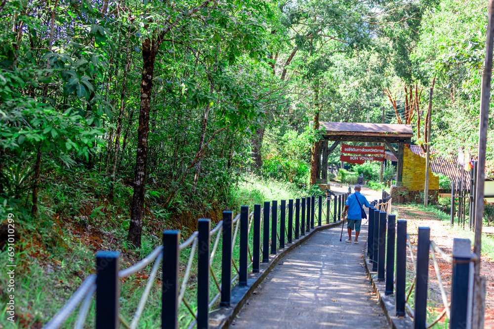 The view of the natural background of the mountain close-up, with blurred fog scattered in the rainy season or the humid climate, with beautiful green trees in the ecological system The view of the natural background of the mountain close-up, with blurred fog scattered in the rainy season or the humid climate, with beautiful green trees in the ecological system