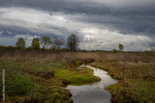 Early spring, young green grass breaks through the old dry grass. the stream reflects the dramatic sky