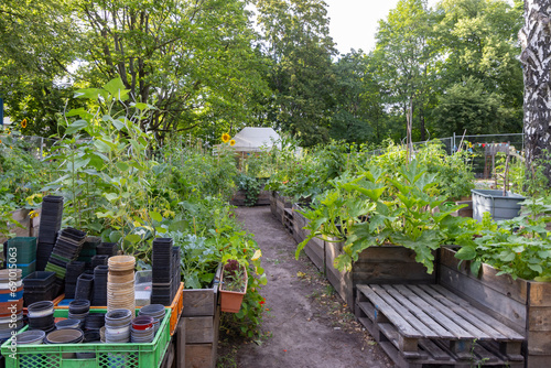 Obraz na plátně Community garden Himmelbeet in Berlin Germany in Europe