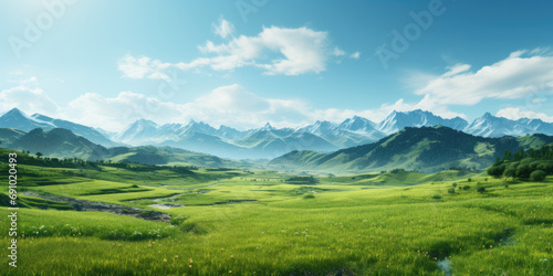 green field with mountains