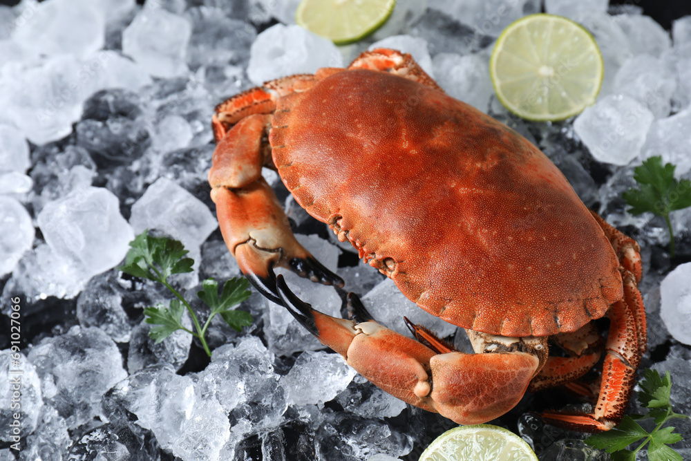 Delicious boiled crab, lime, parsley and ice on table Delicious boiled crab, lime, parsley and ice on table
