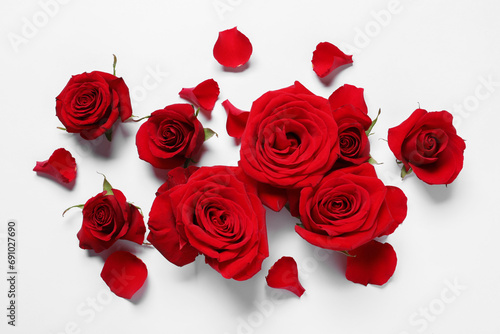 Beautiful red roses and petals on white background  flat lay