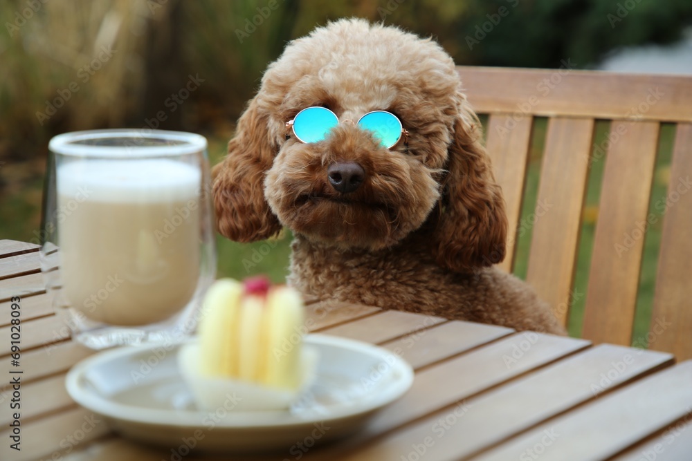 Cute fluffy dog with sunglasses at table in outdoor cafe