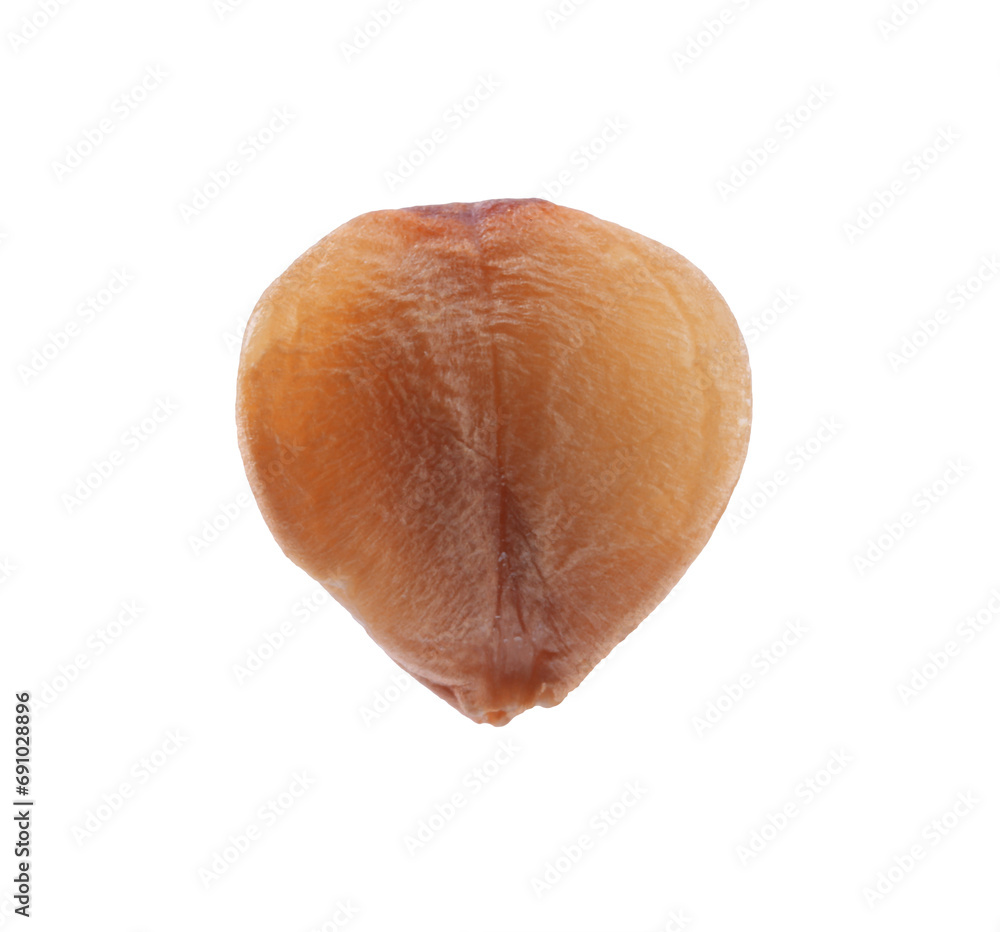 One buckwheat seed isolated on white, macro view One buckwheat seed isolated on white, macro view
