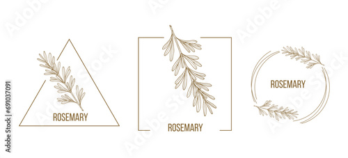 Rosemary floral hand drawn logo template