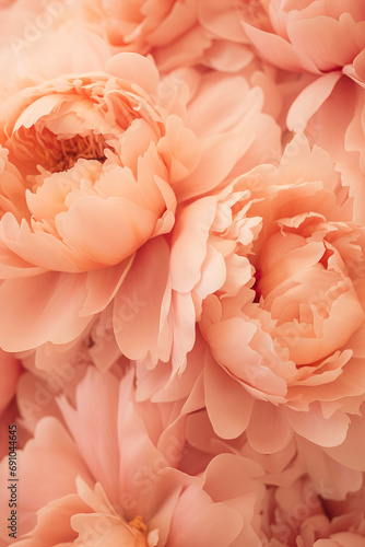 close up macro of beautiful peonies in peach fuzz color of the year 2024