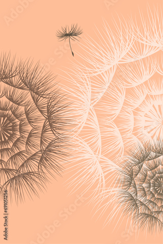 Floral summer background art design web template. Botanical pattern peach fuzz color, dandelions and flying seed, vector.