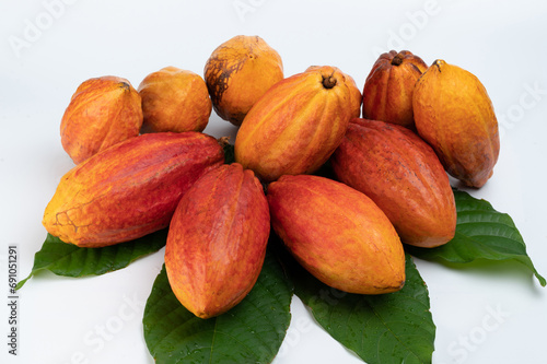 Group pile of natural cacao pods