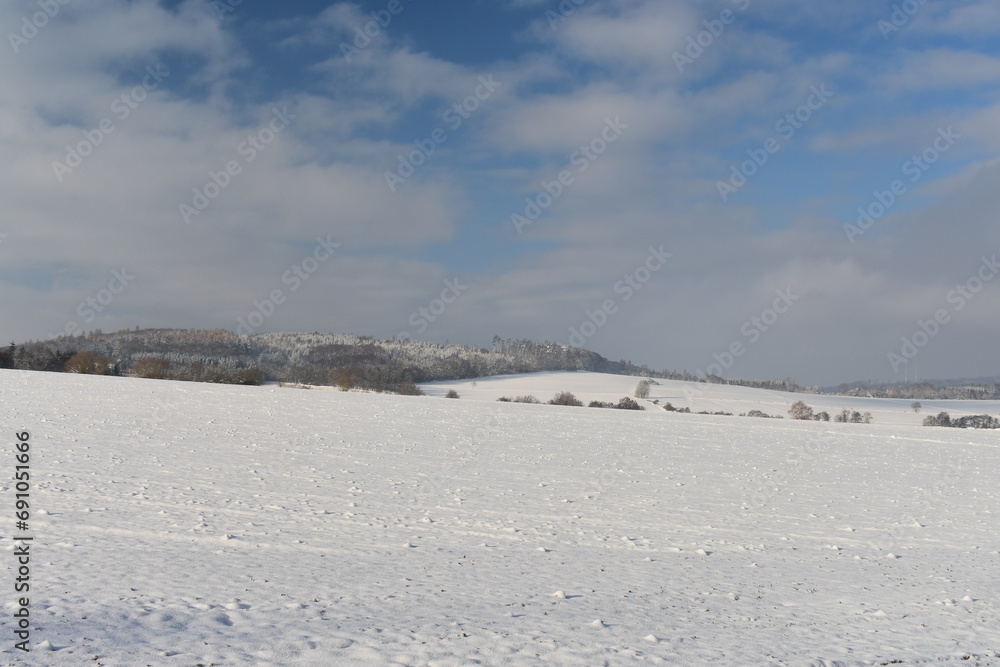 fields and forest in winter germany hessia