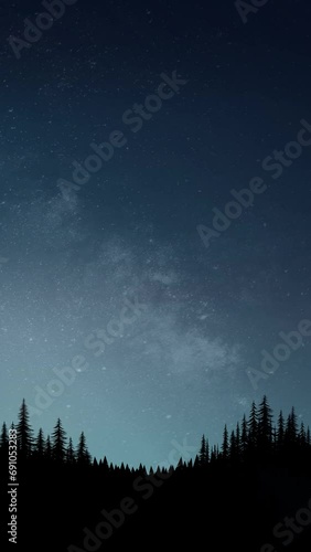 Starry night sky pine forest scenery illustration looping animation