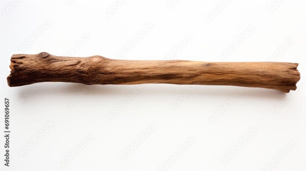 Dry tree branch on a white background isolated. Dry tree branch on a white background isolated.