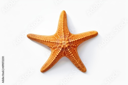 Starfish on sand isolated on transparent or white background
