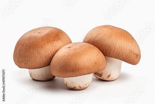 Three brown champignons or portobello mushrooms isolated on transparent or white background
