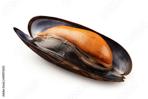 Stuffed Mussel isolated on transparent or white background
