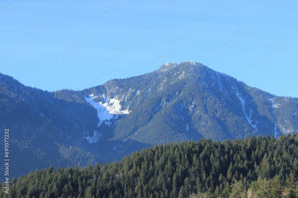 Forest and white snow on the slopes of the mountain. Canada. Forest and white snow on the slopes of the mountain. Canada.