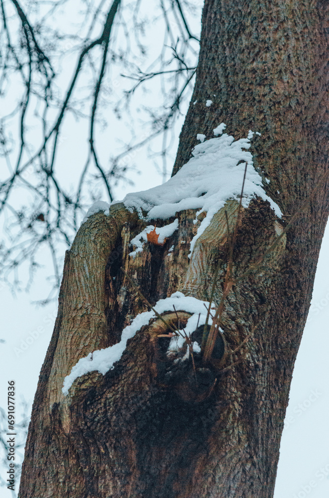 Berlin Winter Wonderland: A Festive Journey Through Snow-Covered Landscapes. Berlin Winter Wonderland: A Festive Journey Through Snow-Covered Landscapes.