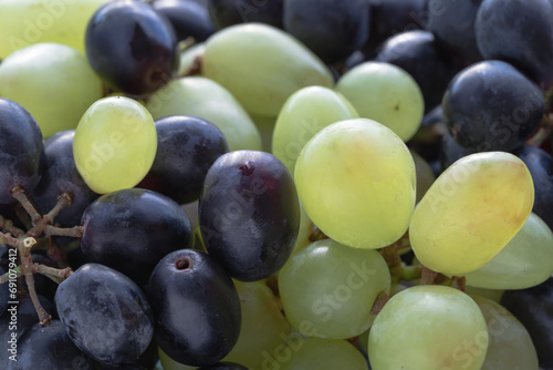 Close-up of Fresh Green seedless and Black seedless Grapes. grapes healthy fruit ready to eat, Space for text, Selective focus.
