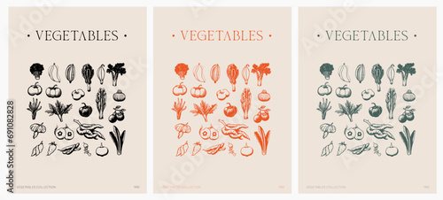 Póster ilustraciones vectoriales de vegetales. Sketch. Vintage. Ilustración. Vegetales. Colores. Póster. Dibujo a mano.