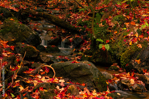 Fall waterfall 