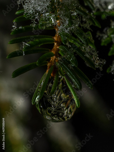 Christmas Ice 