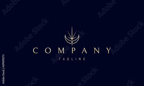 A vector golden logo with an abstract image of an inverted crescent with a brightly shining star. photo