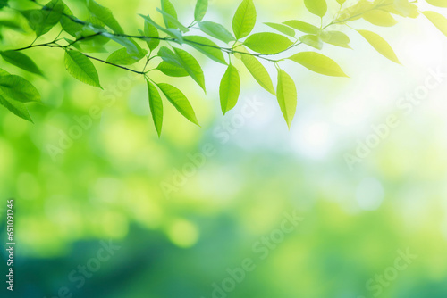 Spring background, green tree leaves on blurred background, texture background.