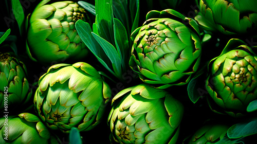 a group of fresh artichokes  just picked from an organic garden. close-up shot from above