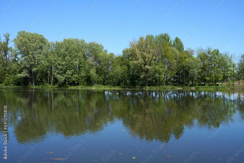 Trees at lake in Wilanow in Warsaw capital city in Poland