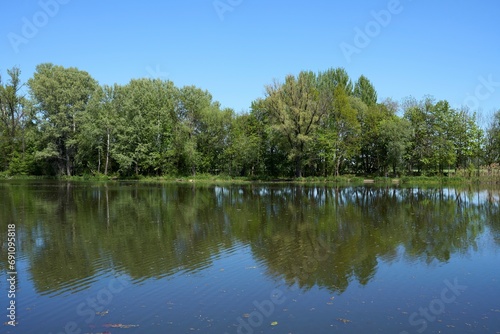 Trees at lake in Wilanow in Warsaw capital city in Poland