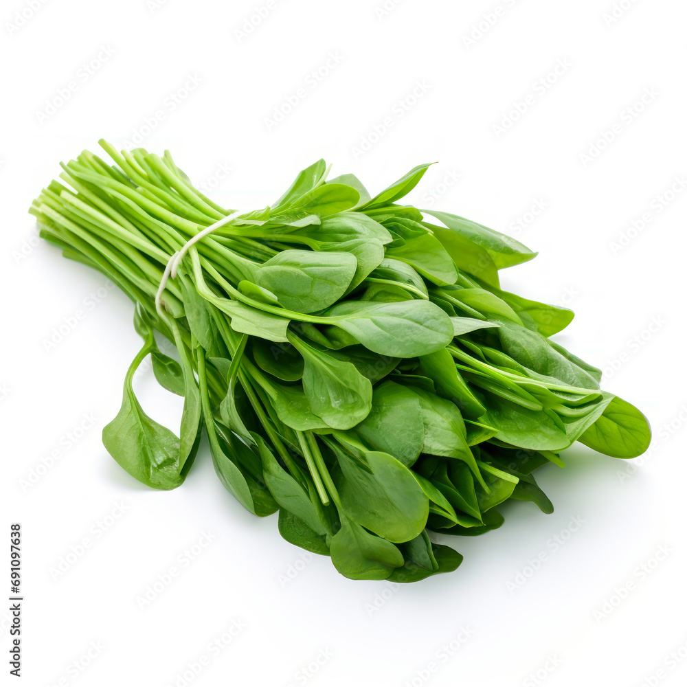 Fresh Spinach bunch on white background. Fresh Spinach bunch on white background.