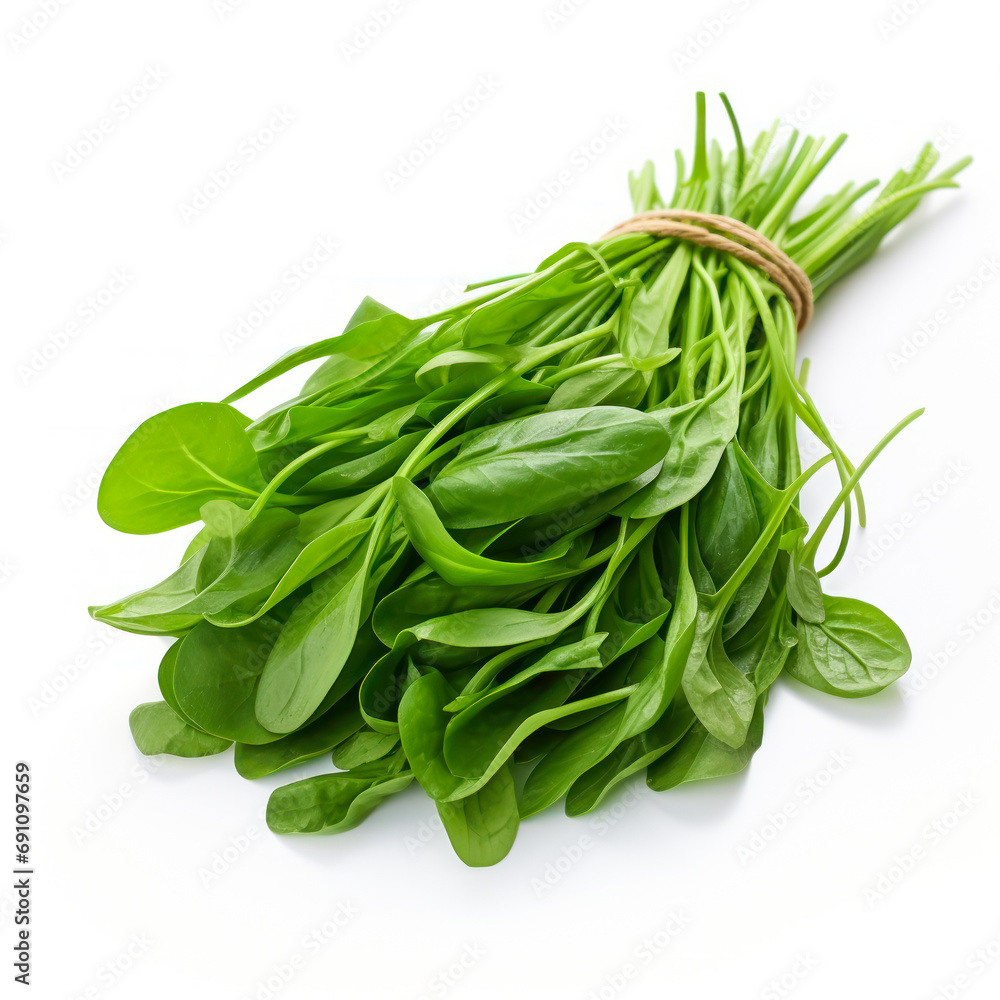Fresh Spinach bunch on white background. Fresh Spinach bunch on white background.
