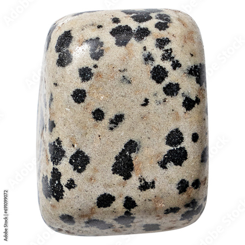 Polished dalmatian jasper stone on a transparent background - Natural mineral rock specimen. Dalmatian jasper stone, close up of jaspe mineral. photo
