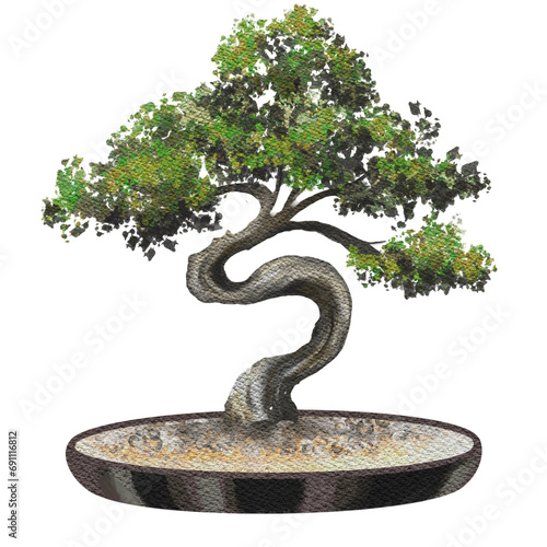 bonsai watercolor painting