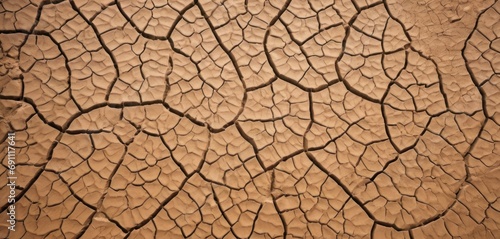  a close up of a cracked surface with small cracks in the middle of the surface and a small patch of dirt in the middle of the surface.