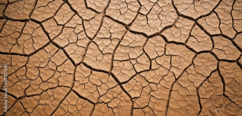  a close up view of a cracked surface of a dry river bed, with a small patch of dirt in the center of the image.