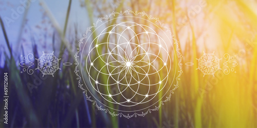 Flower of life. Tree of life. Sacred geometry spiritual new age futuristic illustration with transmutation interlocking circles, triangles and glowing particles