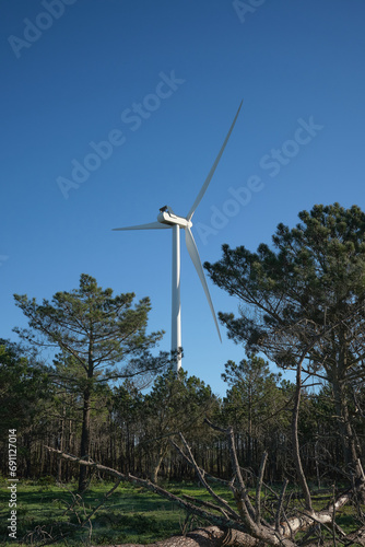 electric wind turbine in the middle of the forest in a sunny blue sky day