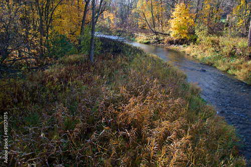 High-angle view of the river in autumn.